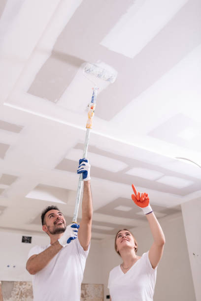 Best Water Damage & Mold Remediation  in Dexter, NM